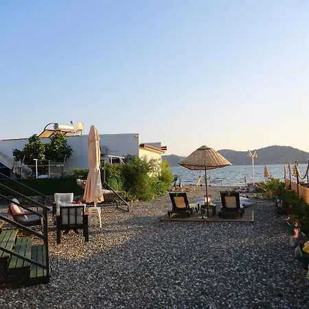 Tiny House Cactus Soeguet Casa vacanze Marmaris