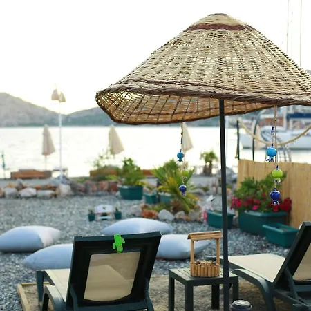 Tiny House Cactus Soeguet Prázdninový dům Marmaris