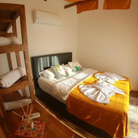 Tiny House Echino Söğüt *