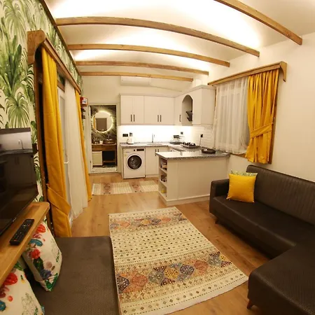 Semesterbostad Tiny House Cactus Soeguet *