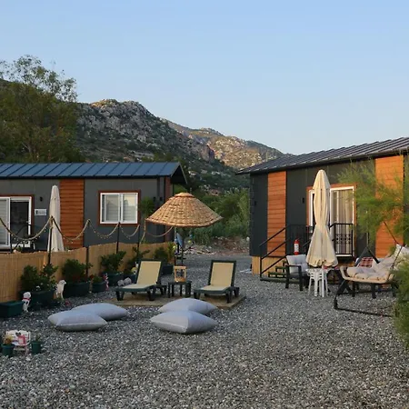 Feriehus Tiny House Cactus Soeguet *
